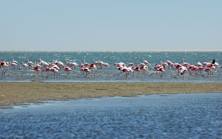 Namibie (Walvis Bay)